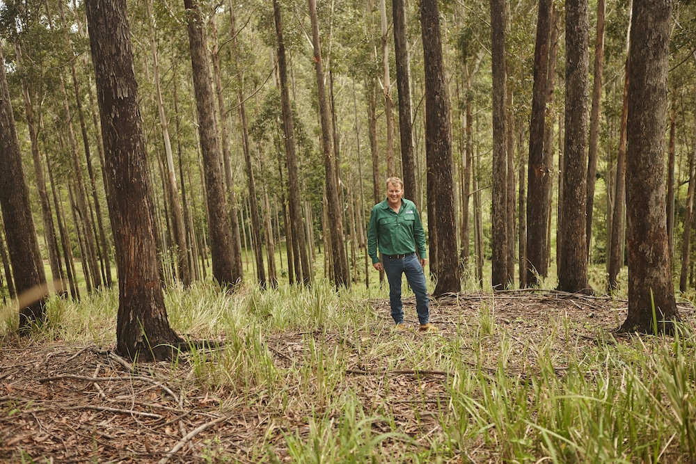 Andrew Hurford… field days will bring a diversity of suppliers and information for all aspects of the industry, from growing forests to harvesting them and processing the timber.