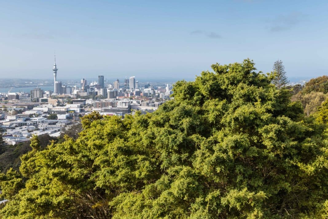 Tree planting plays an important role in driving New Zealand's ETS. However the debate over carbon sequestration between exotic or plantation forests and native trees has fuelled intense debate. (Photo Credit: Patrik Stedrak via Adobe Stock Images)