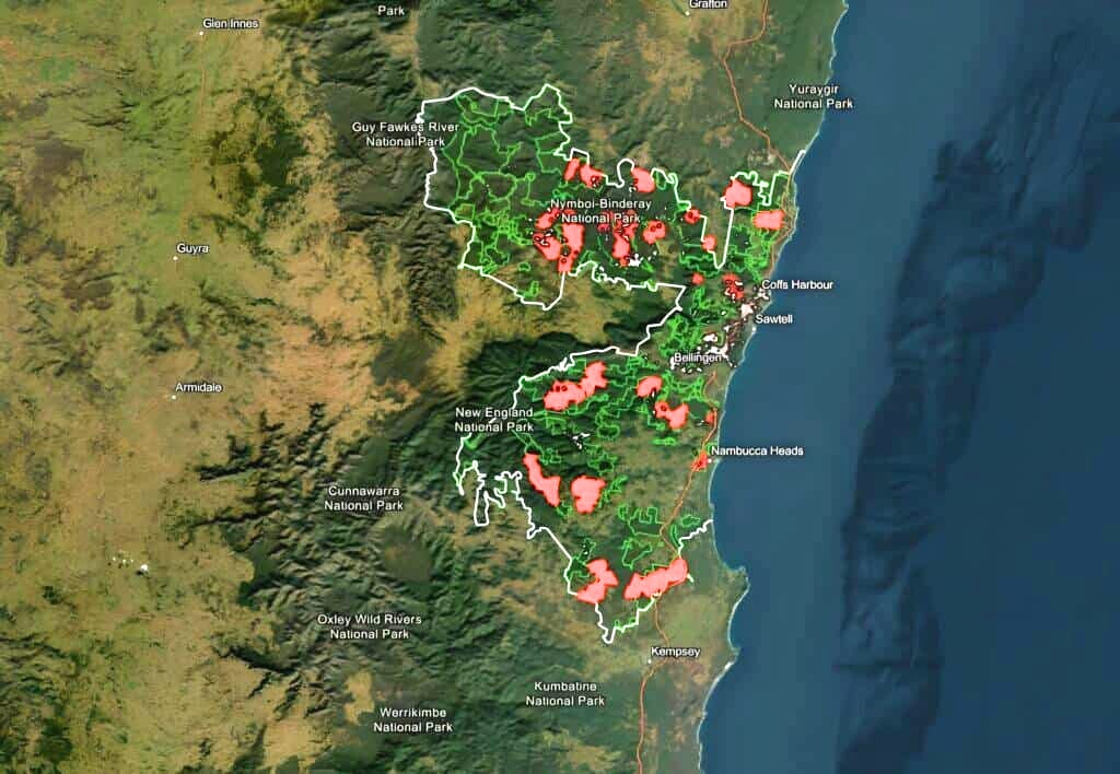 Last year, Wood Central exclusively revealed that 106 coups connected to the proposed Great Koala National Park have already been closed for harvesting. (Image Credit: Wood Central)
