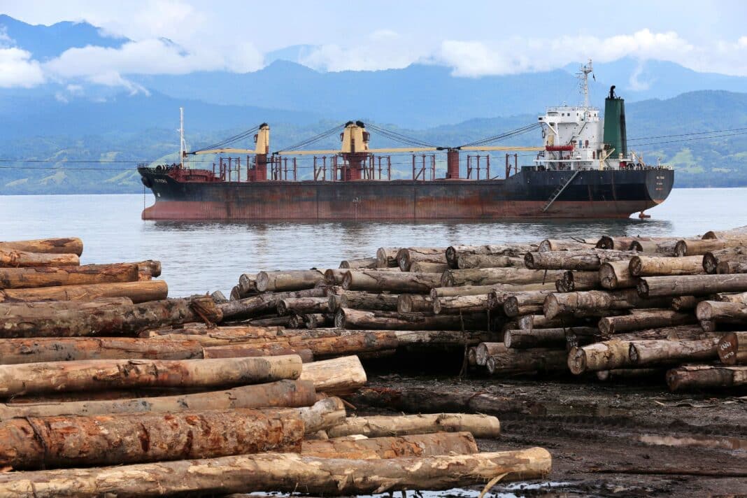 The latest financial pledge by the Australian government comes as China is growing its forest footprint in the region - home to some of the world's highest value forests and tropical timbers. Here, tree trunks wait for loading on to the vessel WU FENG (Panama) in the logport of Logpont Timbers Rimbunan Hijau (PNG) Limitid in Garim, Madang, Papua Neuguinea. (Photo Credit: Friedrich Stark / Alamy Stock Photo)