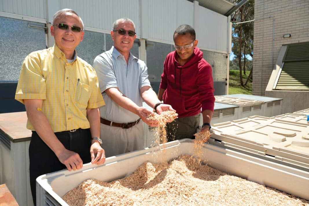 Dr Jong-Leng Liow, Dr Amar Khennane and PhD Student Firesenay Zerabruk Gigar, showing the decontaminated wood chips. (Photo Image: UNSW Canberra)