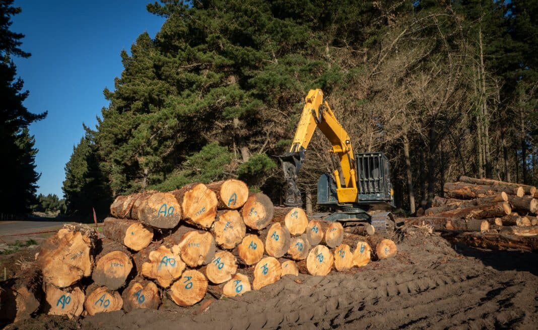 The NZ forest products industry is struggling to attract investment to rebuild it's wood processing industry. (Photo Credit: FILE #: 220076690 via Adobe Stock Images)