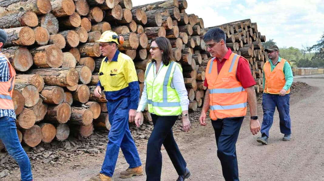 Supporting forest industry jobs… Former Queensland Premier Anna Palaszczuk visits Wade’s sawmill at Maryborough joined by owner Robin Wade and Maryborough MP Bruce Saunders.