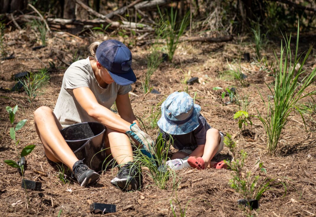 Established in 1996, National Tree Day has grown into Australia's largest community tree planting and nature care event. The program is a call to action for all Australians to get their hands dirty and give back to their community. Since 1996, over 26 million trees have been planted around the country by over 5 million volunteers. (Photo Credit: 1530081497 via Shutterstock images)