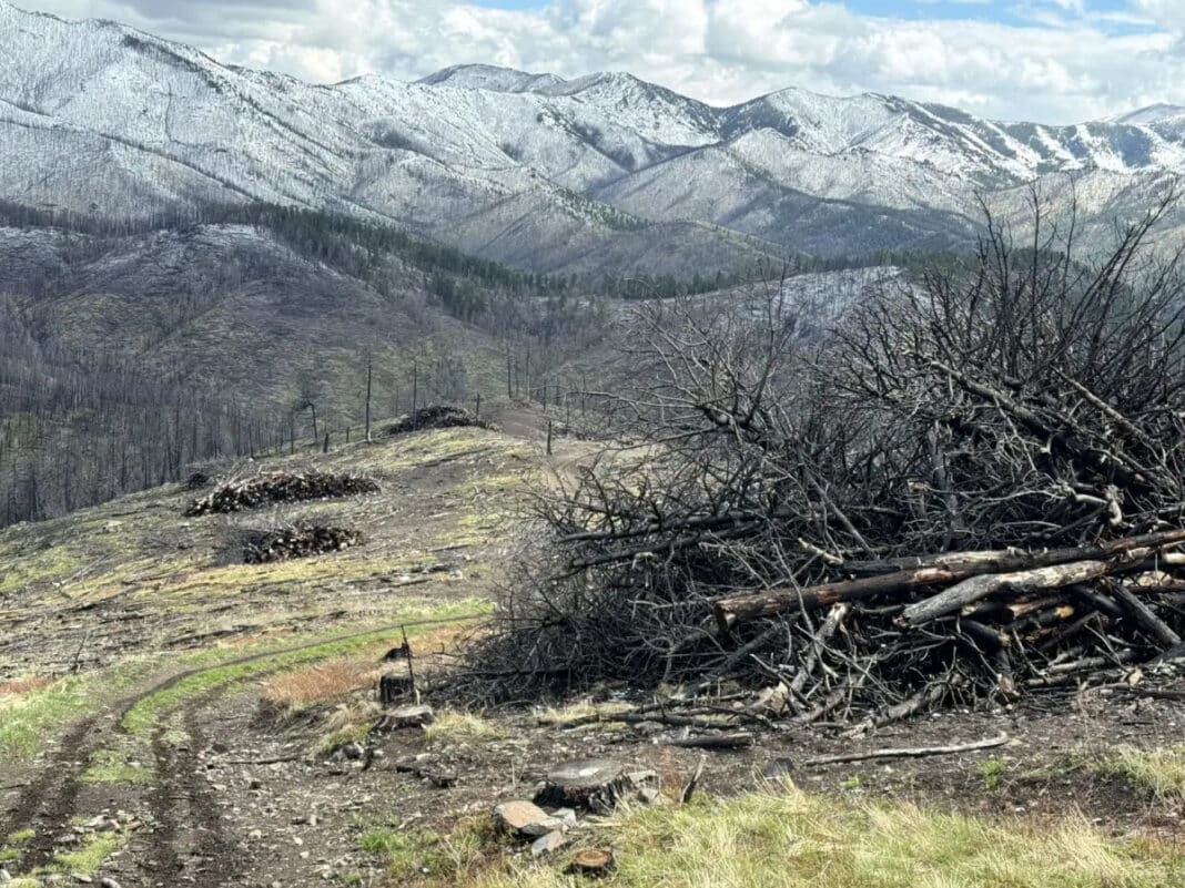 A site in Montana where two companies are partnering on biomass burial after a wildfire burned hundreds of acres of privately owned land. Courtesy of Mast Reforestation