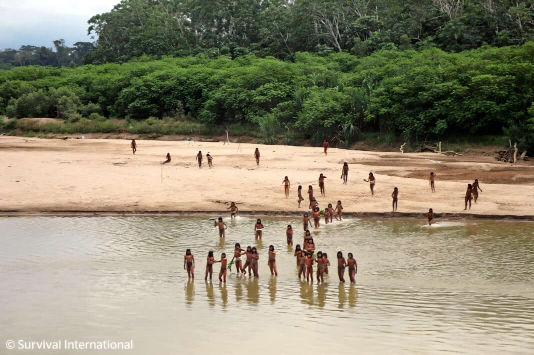 In July, Survival International shared exclusive images and footage of the Mashco Piro peoples engaging with logging crews in the Peruvian Amazon. (Photo Credit: Survival International under Creative Commons 4.0)