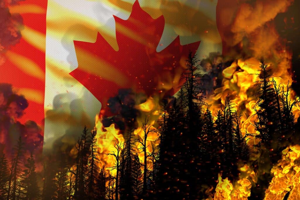 Last year's fires burnt through 4% of Canada's total forests, and generated more than 647 million metric tons of carbon emissions into the atmosphere, quadrupling the emissions from fossil fuel consumption. (Photo Credit: Stock Illustration ID: 2009778788)