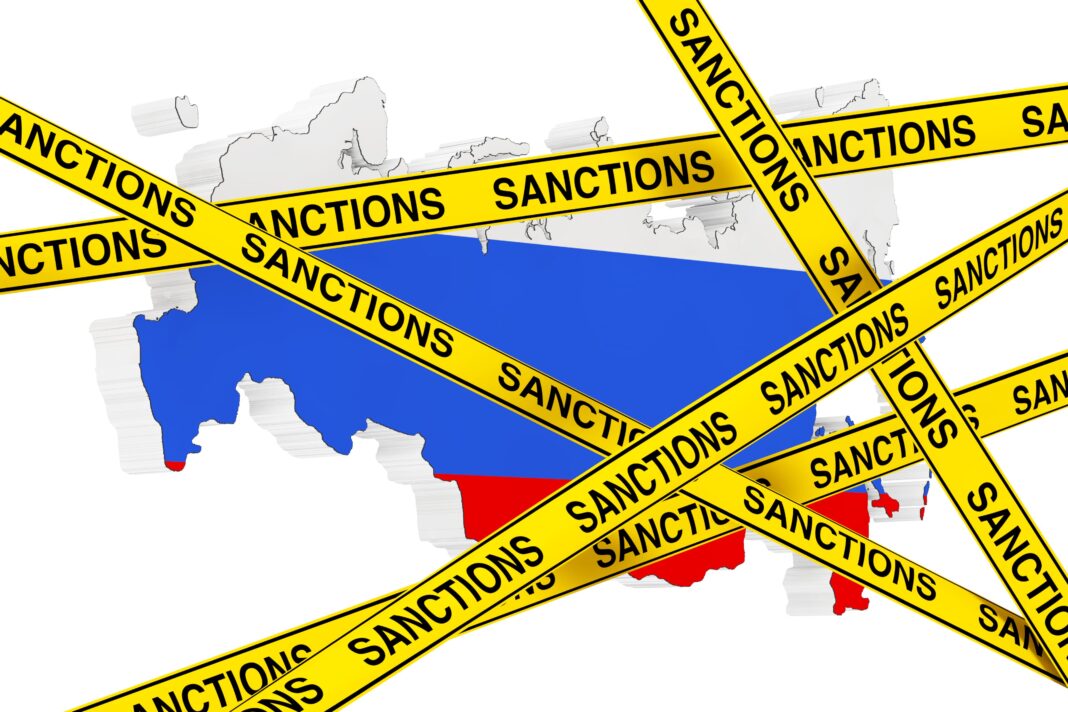 Russia was the EU’s fifth largest trading partner in 2021, exporting more than $3 billion worth of timber to the bloc. (Photo Credit: Stock Illustration ID: 719426440)