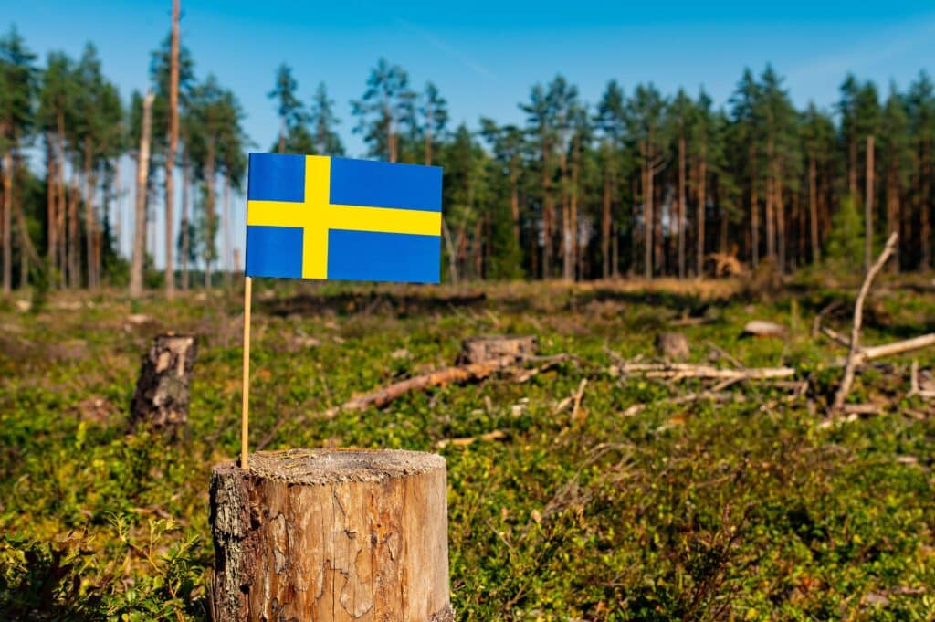 Sweden exports more than US $18 billion (or SEK 180 billion) worth of forest products - with 66% of all exports traded into the European Union. (Photo Credit: Mantas Zilicius / Alamy Stock Photo)