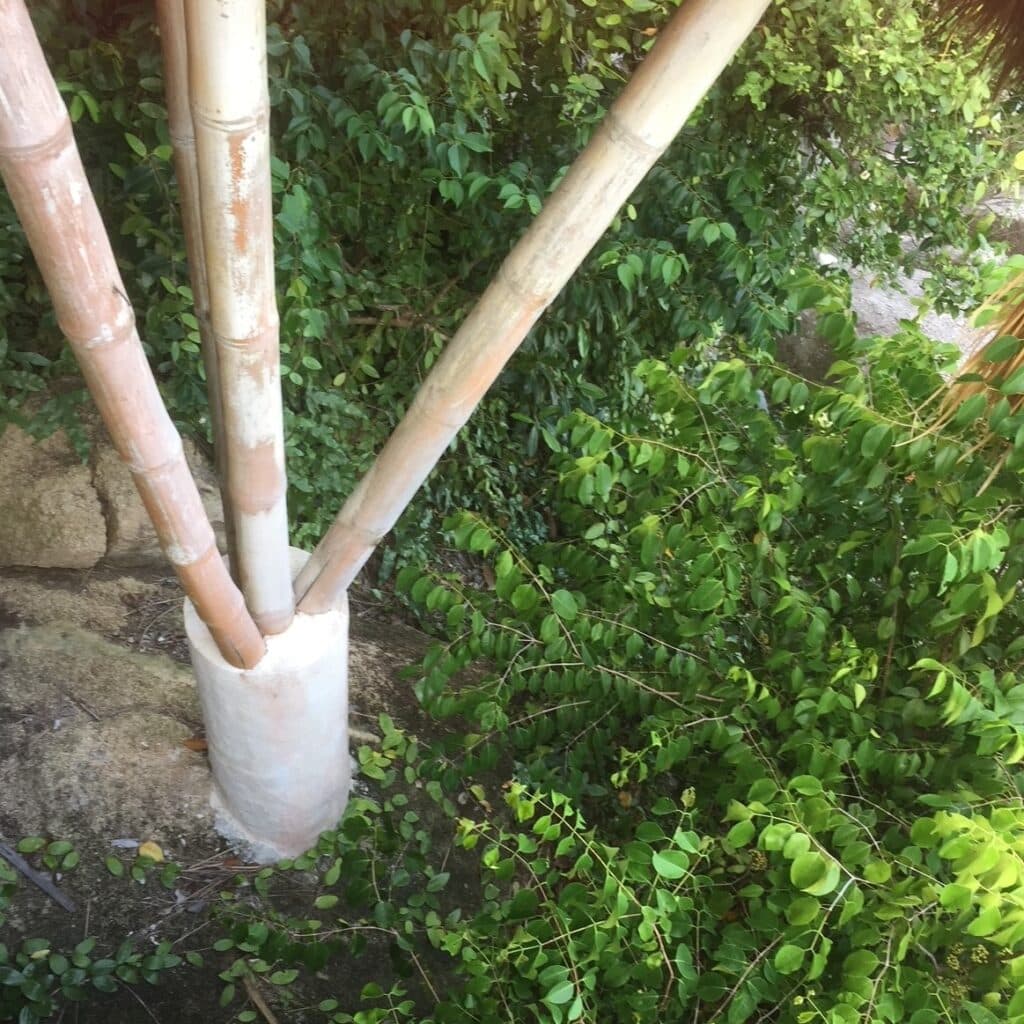 bamboo supports for villa fotor 20240904175536