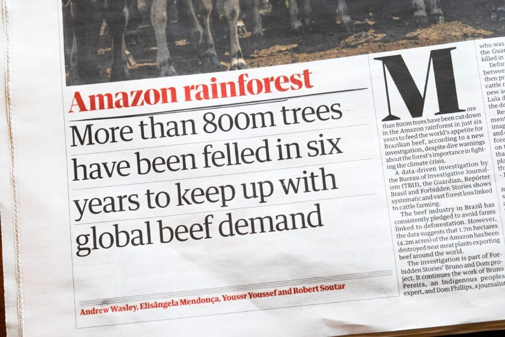 'More than 800m trees have been felled in six years to keep up with global beef demand' Guardian newspaper headline Amazon rainforest article 2023 UK