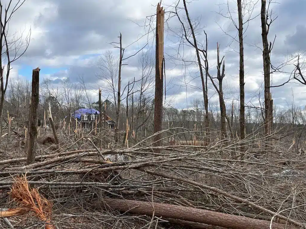 Extensive tree damage near Jenkinsburg Georgia 1024x768.jpg 1