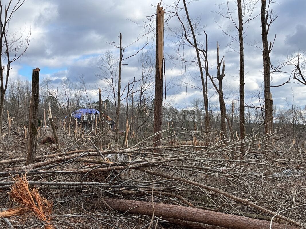 One of the United States largest timberlands is now at risk as Georgia surveys damage. (Photo Credit: National Oceanic and Atmospheric Administration. This file is made available under the Creative Commons CC0 1.0 Universal Public Domain Dedication)