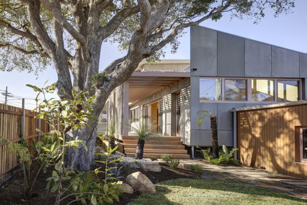 In the vibrant riverside suburb of Putney, the Canopy CLT House quietly stands out, merging sustainable principles with texture and colour in a way that is both intentional and inspiring. (Photo Credit: Brett Boardman)