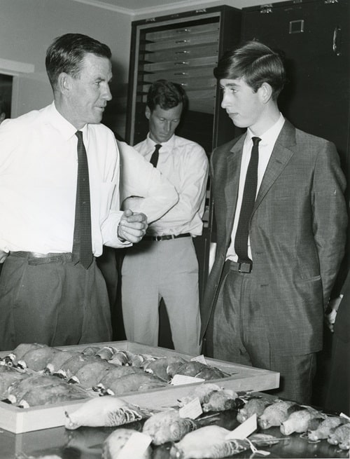 In February 1966, a young Prince Charles visited the CSIRO Division of Wildlife Research Division at Gungahlin near Canberra and was given a tour by the divisional chief Harry Frith. ​