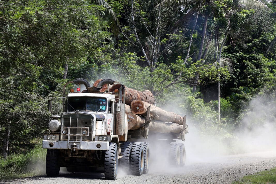 Logging truck in the rainforests of Madang province, Papua Neuguinea. (Photo Credit: Friedrich Stark / Alamy Stock Photo)