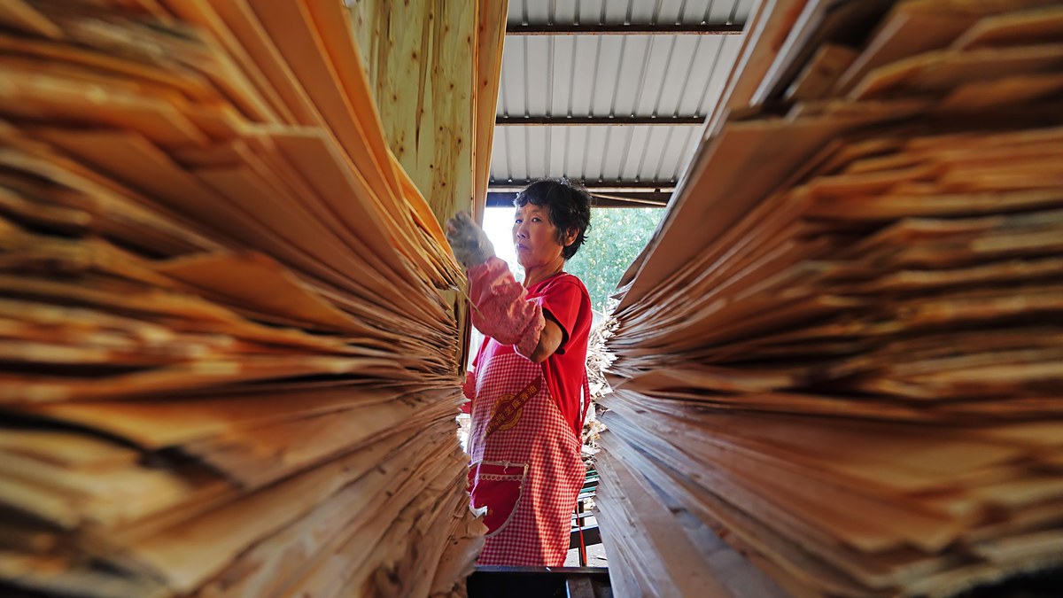 China's Belt and Road Grip on Timber Shifts from Logs to Plywood