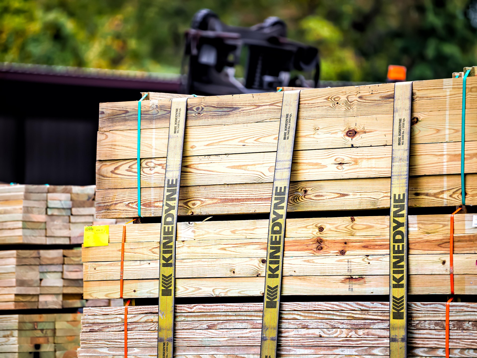 American South Offers the World's Best Chance for More Softwood Logs