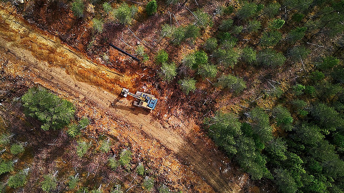 Stora Enso Confirms Wood Deliveries From Google Sites