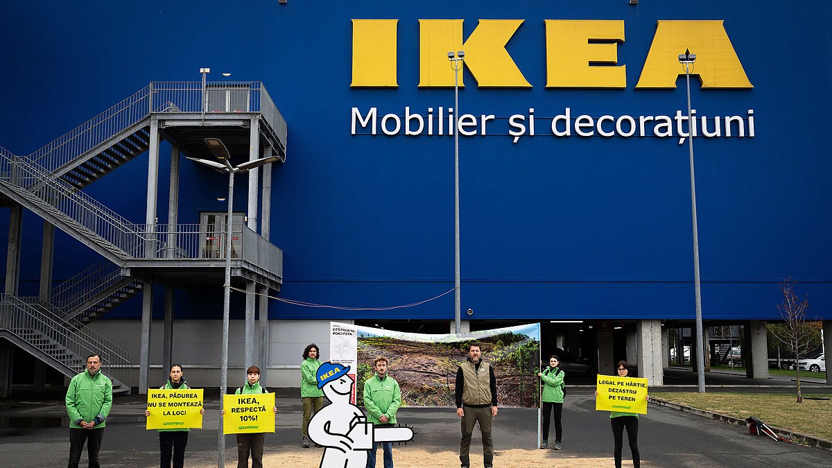 IKEA's Hunger for Wood Draws Greenpeace Back to the Carpathians