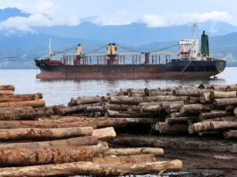 Fake Forest Case Files Timber Laundering Suspected in Papuan Merbau Shipment | Wood Central