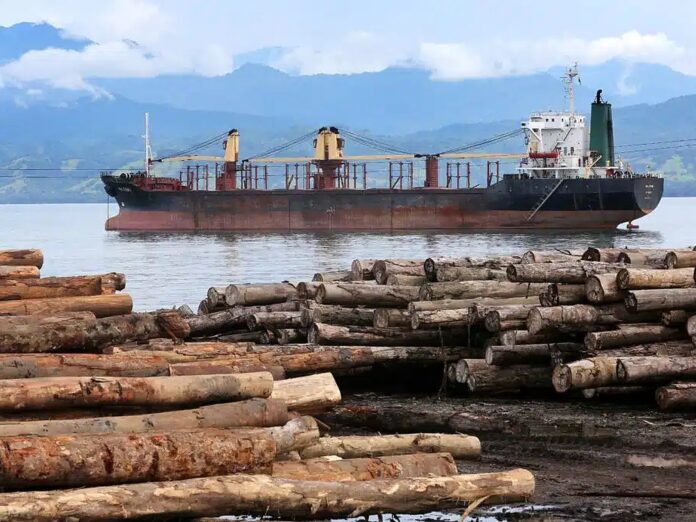 Fake Forest Case Files Timber Laundering Suspected in Papuan Merbau Shipment | Wood Central
